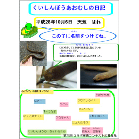 画面イメージ