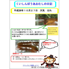 画面イメージ