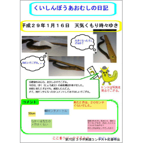 画面イメージ