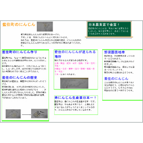 画面イメージ