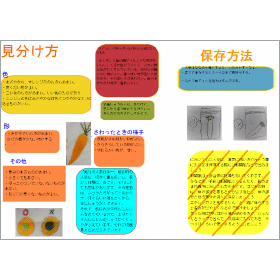 画面イメージ
